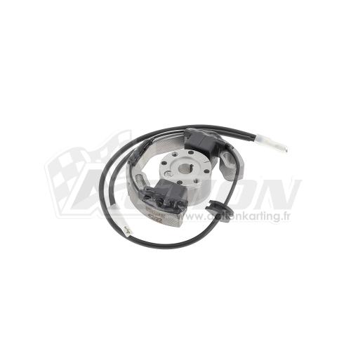 Allumage Selettra KA100 - X30 Water Swift 60cc