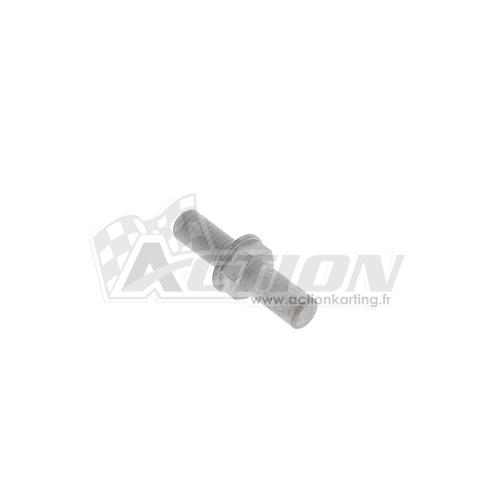 Axe support cliquets