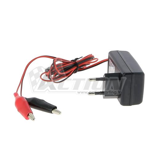 Chargeur batterie 12V universel