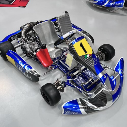 Kart occasion PRAGA + Iame Screamer III (125 bv6)