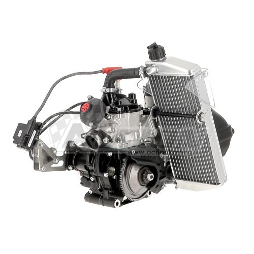 Moteur Rotax 125 MAX EVO (Challenge Rotax) Action karting Moteurs