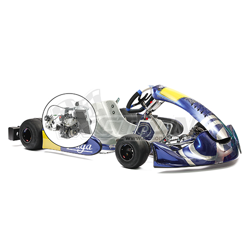 > 14 ans - Kart PRAGA Rotax Max EVO 125 cc (28,5 cv)