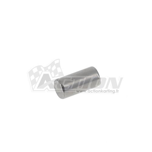 Pion de centrage carter 6X12