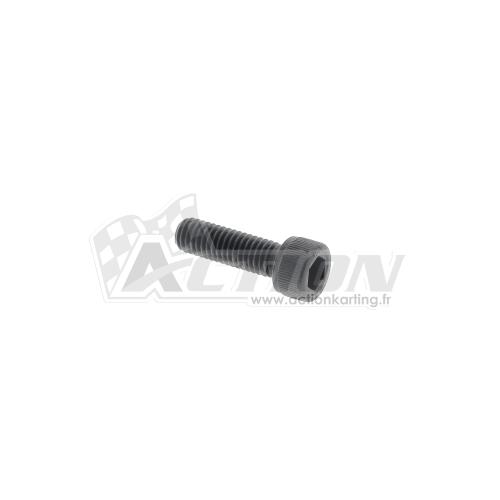 Vis Allen M6x20 Vortex Mini 60 FR