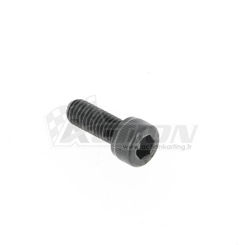 Vis Allen M6x16 Vortex Mini 60 FR