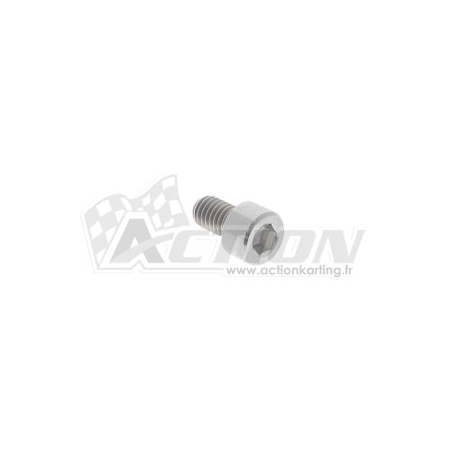 Vis BTR 6x12 bouchon culasse
