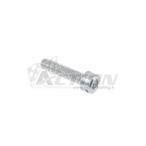 Vis CHC 6X25 percé pour plombage moteur