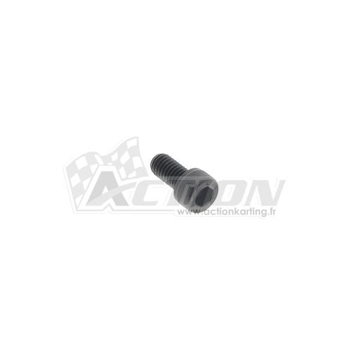 Vis M6x12 fixation tresse de masse IAME