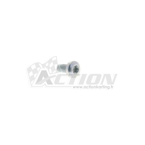Vis de clapets (torx) M3X6 Rotax Max