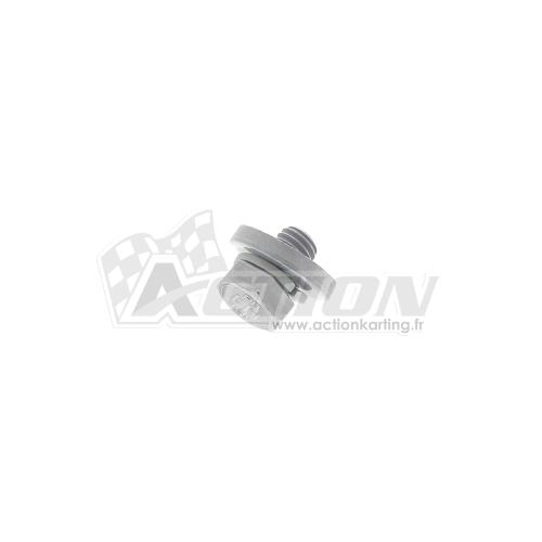 Vis + rondelle pour chariot manivelle DALMI