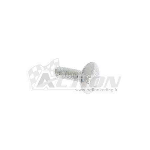 Vis tête bombée M6x20mm IPK 2025 (empreinte carrée) fixation platine tendeur | équerre de pot