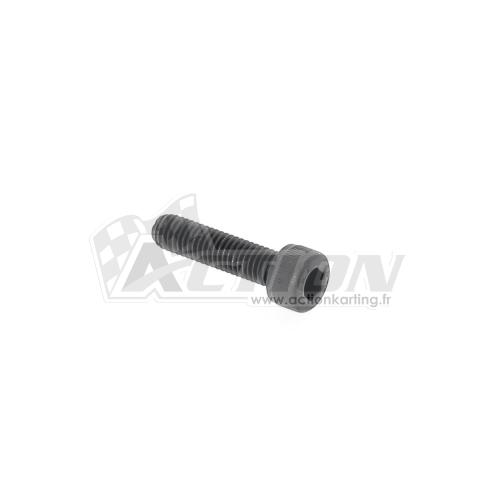 Vis Allen M5x20 Vortex Mini 60 FR