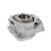 Cylindre Rotax DD2 2024 - Illustration n°1