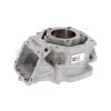 Cylindre Rotax DD2 2024 - Illustration n°2
