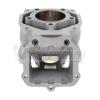 Cylindre Rotax DD2 2024 - Illustration n°4
