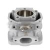 Cylindre Rotax DD2 2024 - Illustration n°5