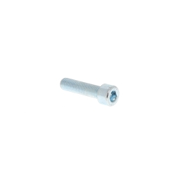 Vis CHC Ø10 mm