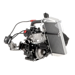 Moteur Rotax 125 MAX EVO (Challenge Rotax)
