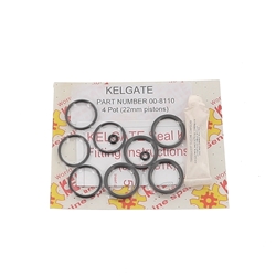 Kit réparation étrier AV GT4 (2x22mm pistons)