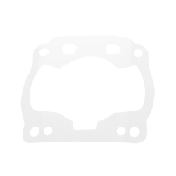 Joint embase 0.10 | IAME Screamer 3/4 | S125