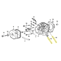 Goujon carbu 8x123 HONDA 270