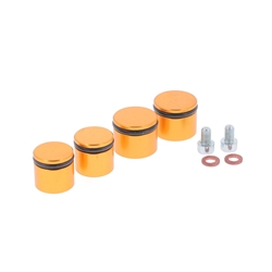 Kit réparation étrier de frein AR - Ø22mm (x2) - Ø19 mm (x2)