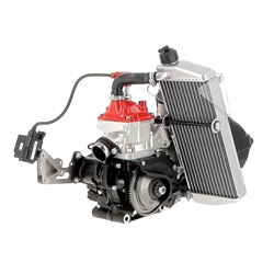 Moteur Rotax 125 JUNIOR MAX EVO - (FFSA Nationale 12-17 ans)