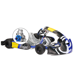 > 14 ans - Kart PRAGA IAME S125 (37 cv)