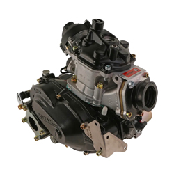 Moteur Rotax 125 MAX DD2 EVO