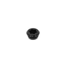 Bouchon d'étrier AV KZ Ø19 mm