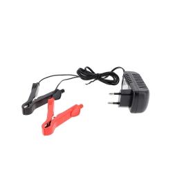 Chargeur batterie 12V universel