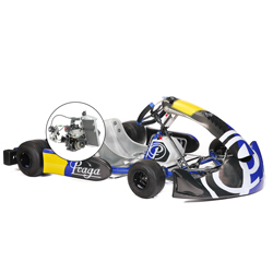 > 14 ans - Kart PRAGA Rotax Max EVO 125 cc (30 cv)