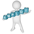Emploi-karting.png