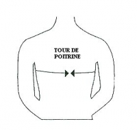 Tour de poitrine